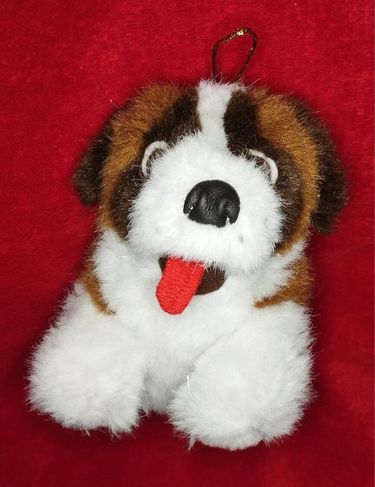 Miś Bunia szuka nowego domu