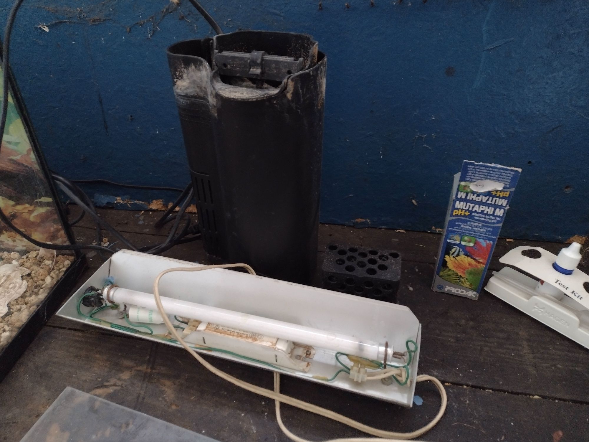 Aquário de vidro para peixes com filtro
