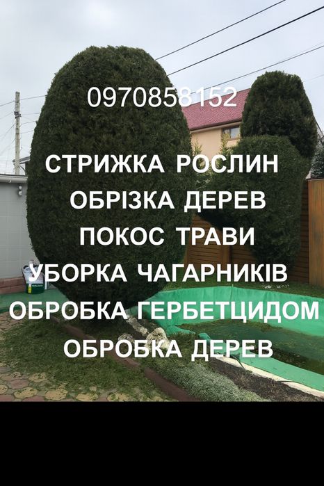 Прибирання території, покос трави, зрізання дерев, посадка дерев