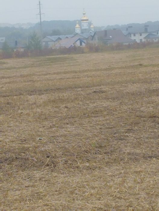 Продам земельну ділянку 037га р,н Нового ринку