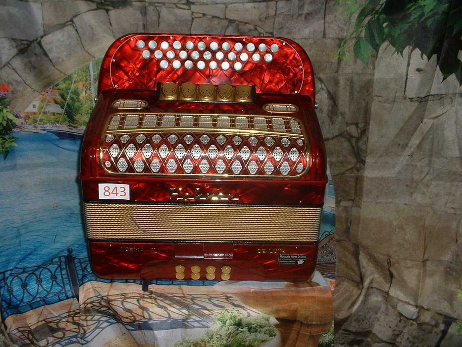 Concertina para venda N, 843