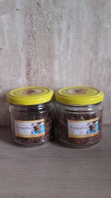 Kit pszczeli propolis