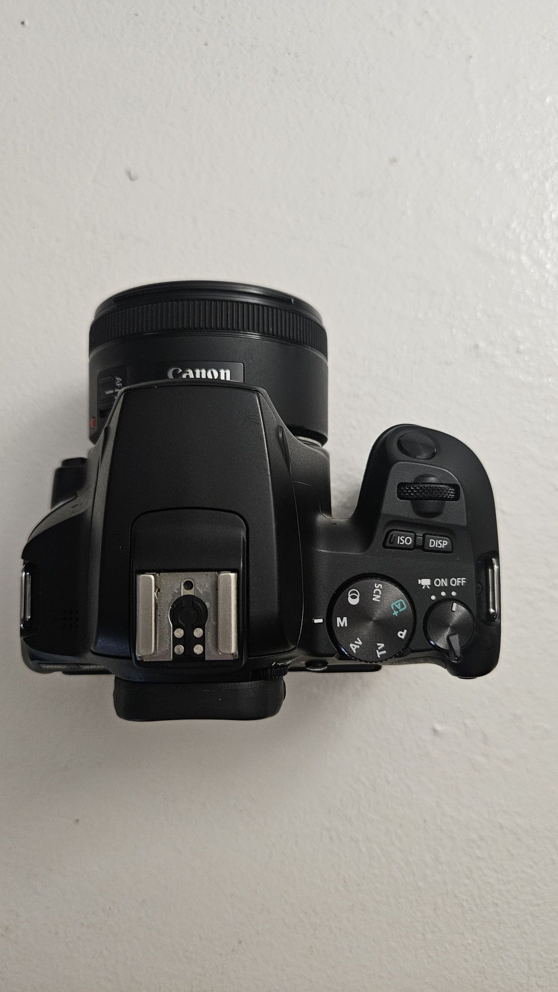 Canon 250D + Objetiva 50mm