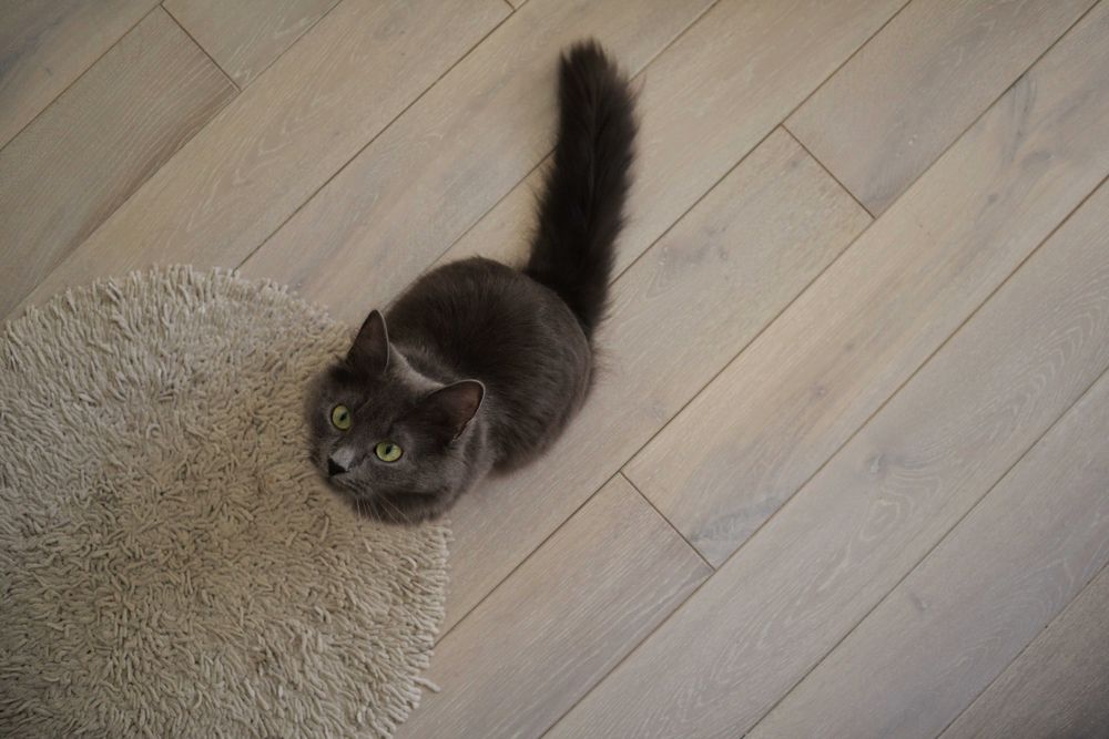 Продажа, укладка и обслуживание напольных покрытий