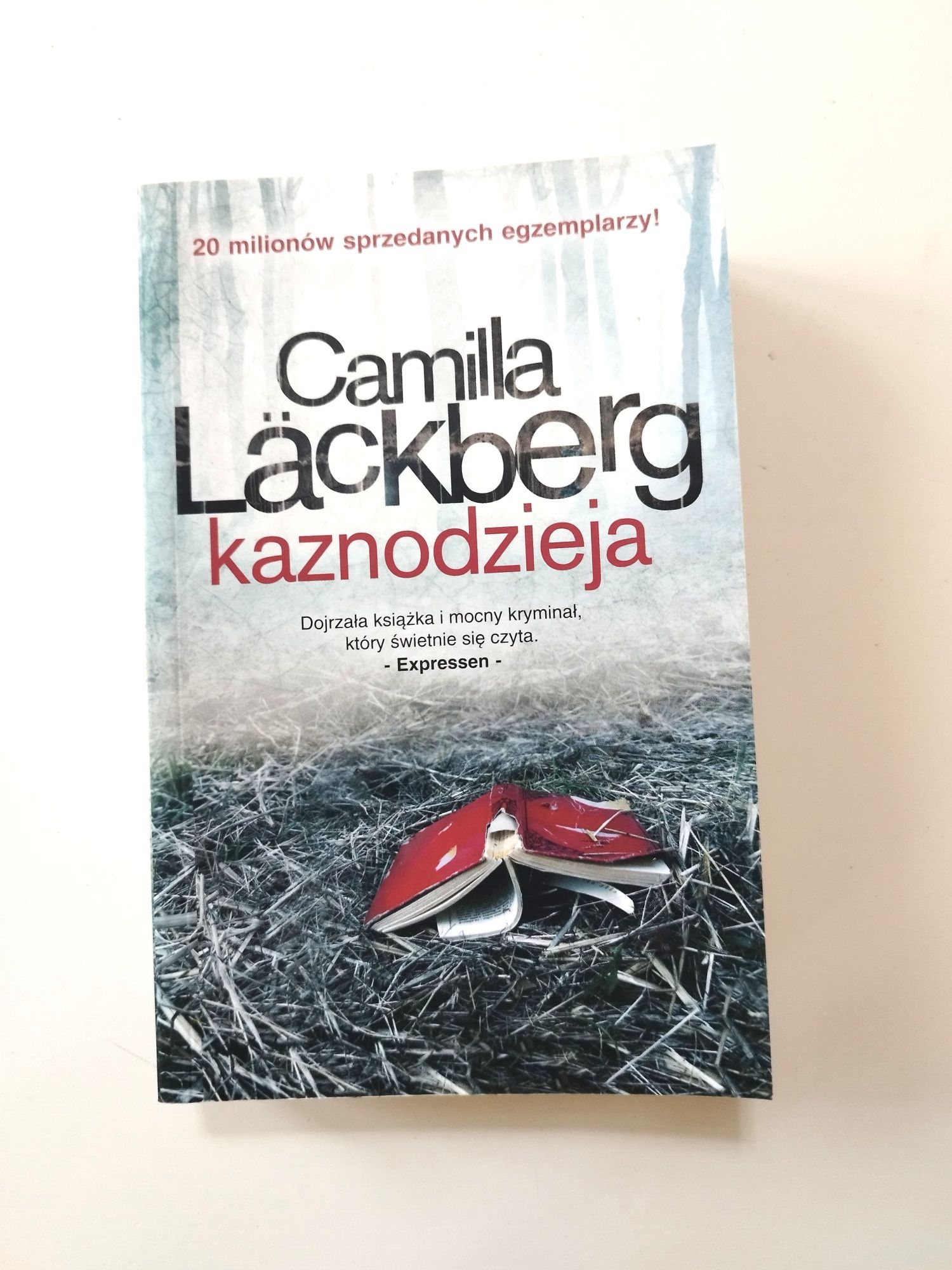 Kaznodzieja Camilla Lackberg