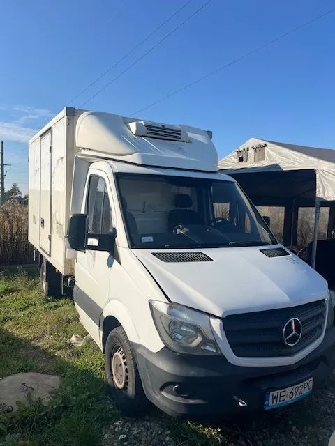 Mercedes-Benz Sprinter  Mercedes Sprinter 906 Kontener Chłodnia 2016