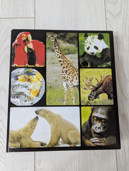 Енциклопедія Про Тварин Велика. Тварини Світу. Для Дітей. Пізнавальна