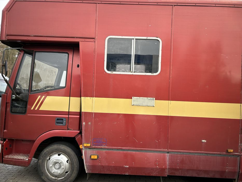 Kamper koniowoz  Iveco 2w1