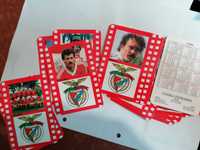 Vendo vários calendários do Benfica de 1990