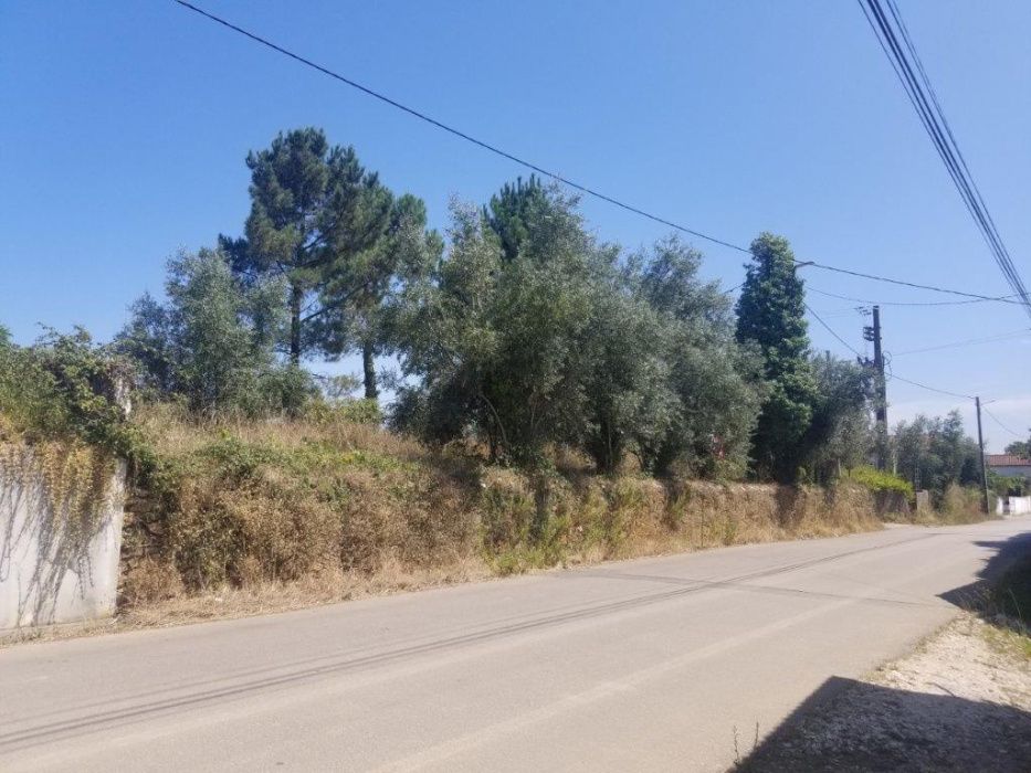 Terreno Urbano para construção 1577m2 Coimbra - VNP Pinheiro