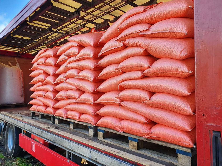 Lucerna Ziarno Nasiona Lucerny Wieloletnia Czyste Nasiona F-RA Dostawa