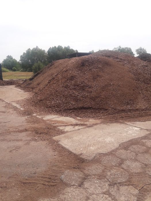 Kora sosnowa sortowana  luzem dostawą 10-15m3