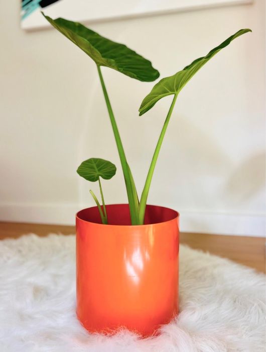 Cachepot laranja da Kartell