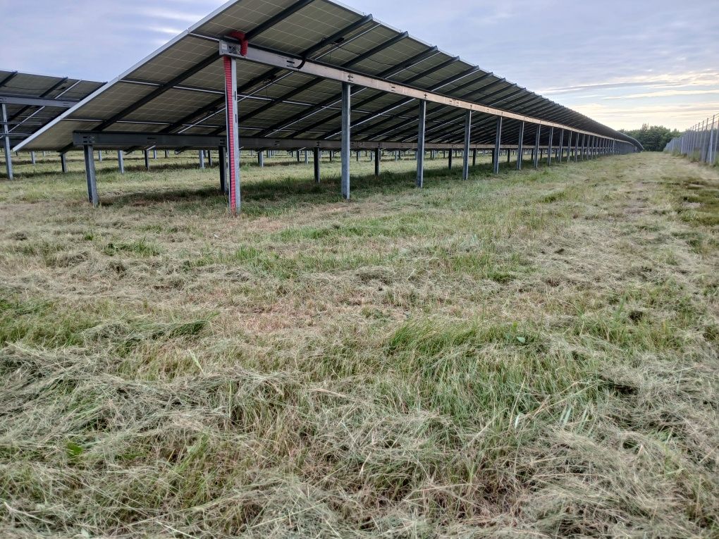 Tanie koszenie farm fotowoltaicznych - szybkie terminy