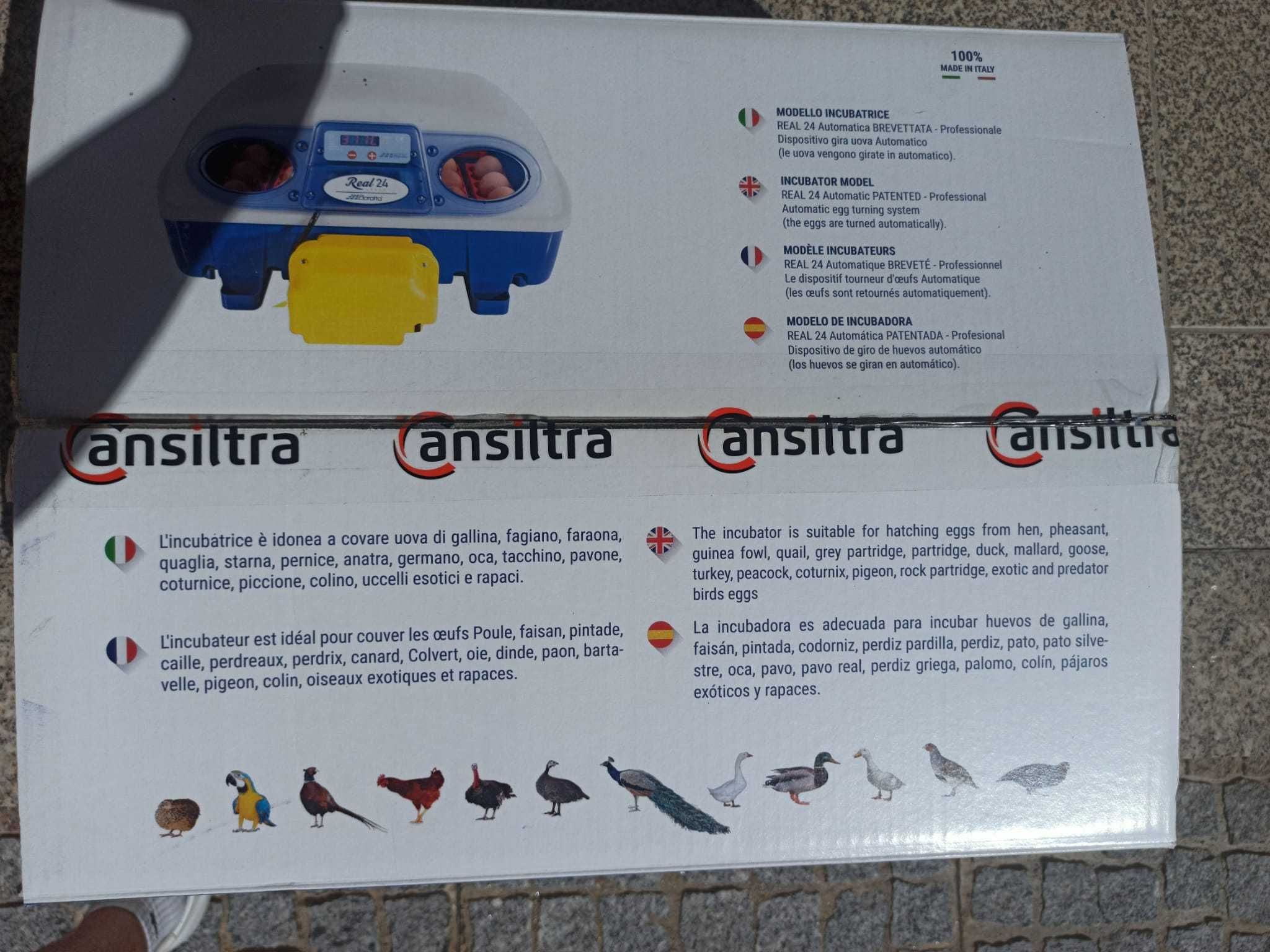 Incubadora Borotto