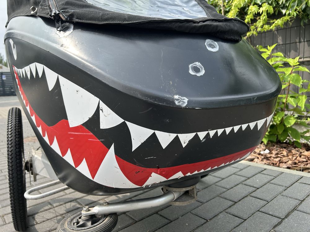 Rower Riksza TrioBike