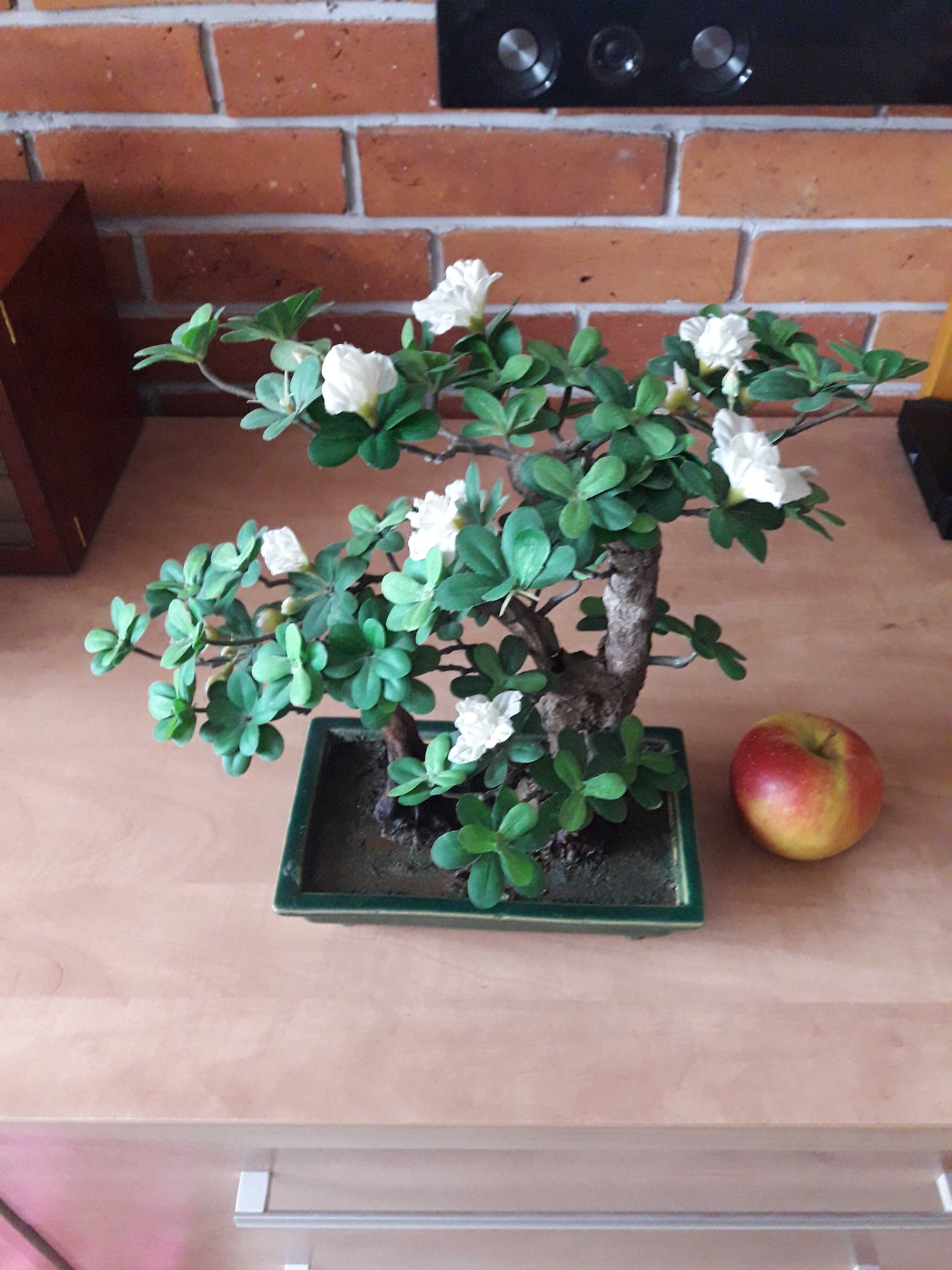 Sztuczny kwiat  bonsai