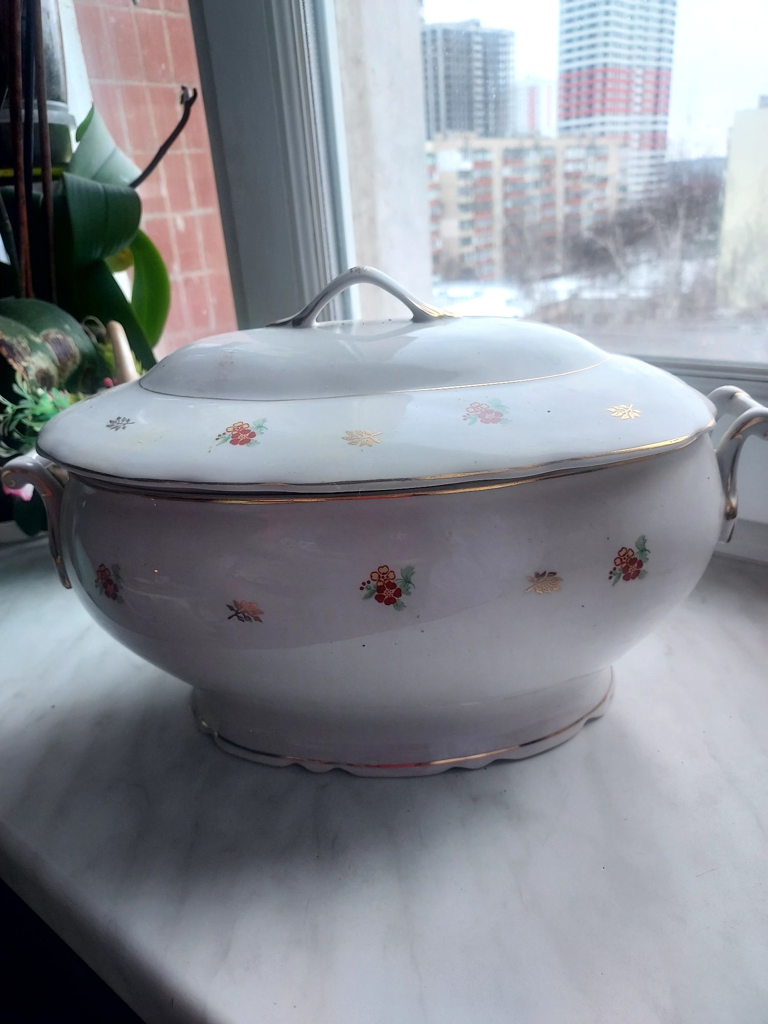 Супниця Коростень
