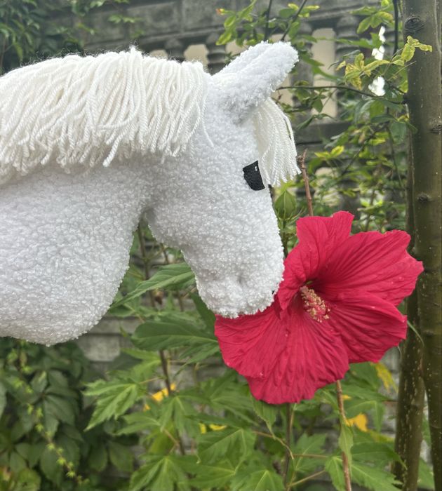 Hobby horse SKT A4