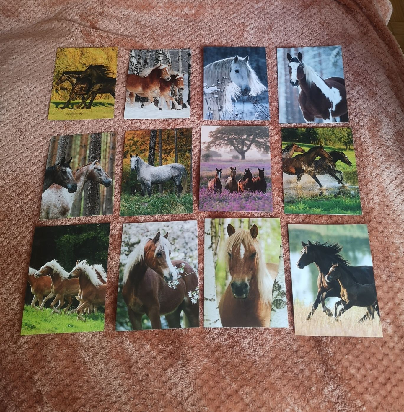 Obrazki z końmi, pocztówki