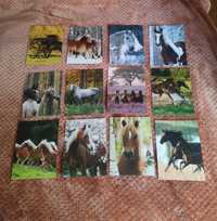 Obrazki z końmi, pocztówki