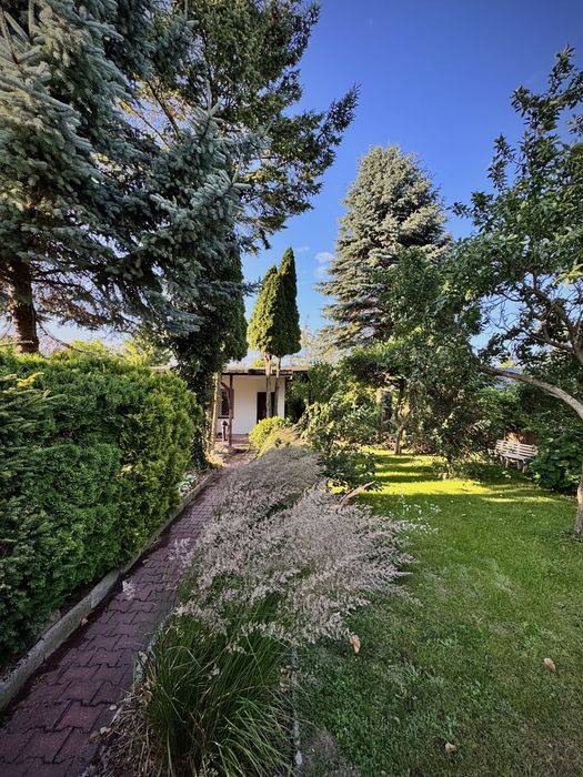 Ogród Działkowy na Rod Koninko