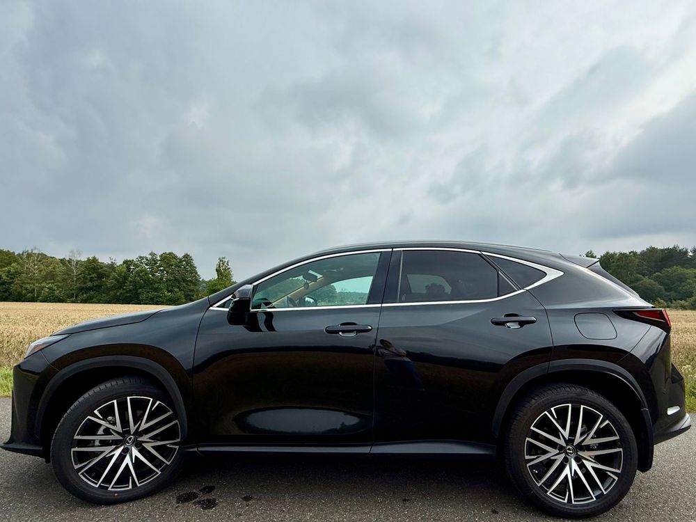 Lexus NX 250  2024