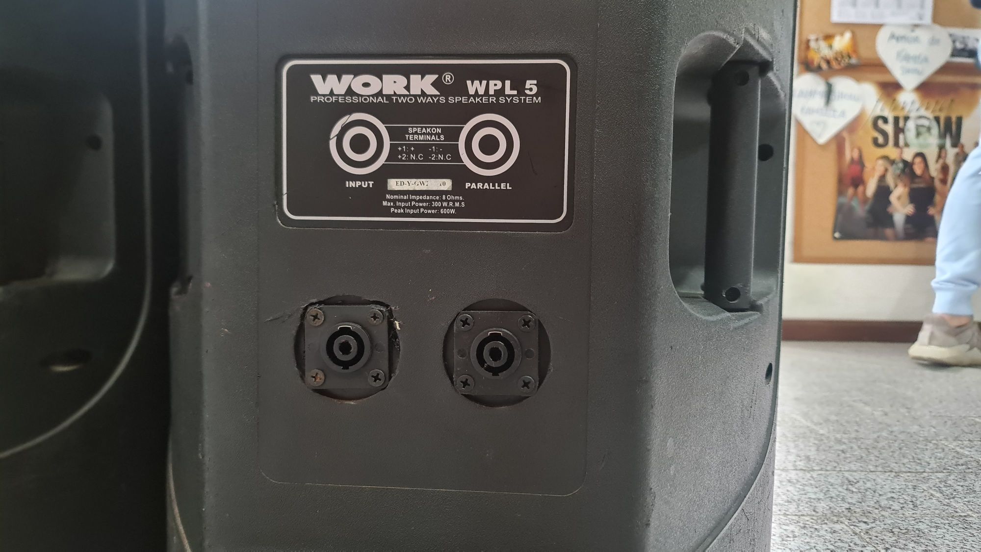 Work WPL-5 300W | Colunas Passivas