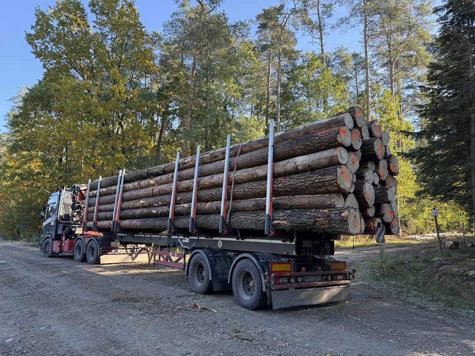 Drewno Sosna Tartaczna AB klasa