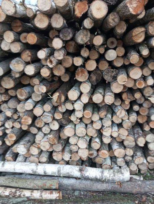Kołki, słupki, bale, paliki do malin,sadu, na ogrodzenie,stemple 2,5m