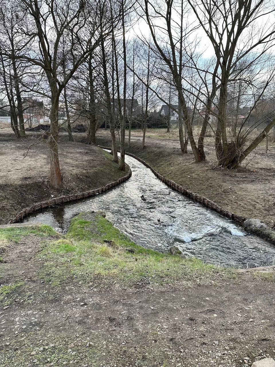 Faszynowanie Stawów / Cieków Wodnych / Palisady / Gambiony