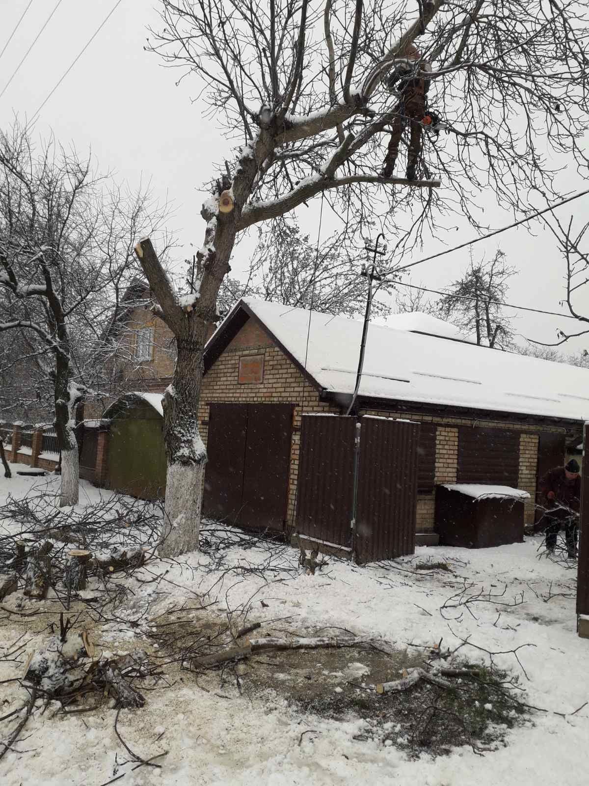 Видалення аварійних дерев Є послуги автовишки. Є послуги ЩЕПОРІЗА