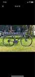 Bicicleta Liv Lagma - Advanced Estrada  Tam S