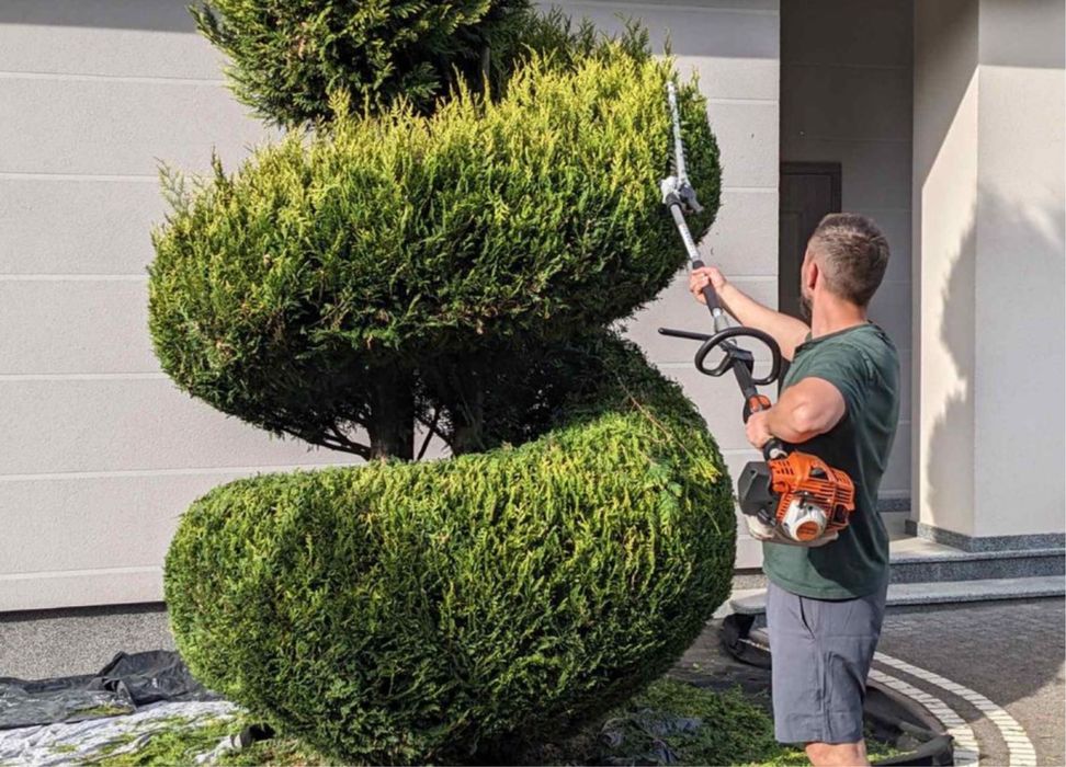 Топіарні-декоративні стрижки туї,ялівцю та декоративних росли