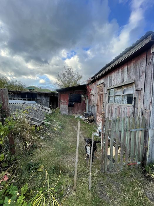 Будинок в лісі(!)