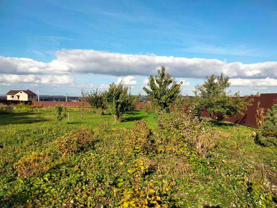 Продаж будинку у Грузевиці.