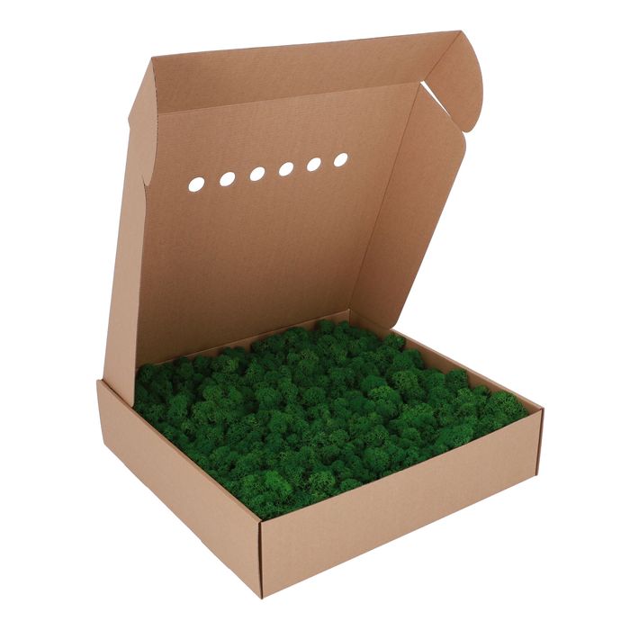 Стабілізаційний Мох. Cкандинавський Ягель