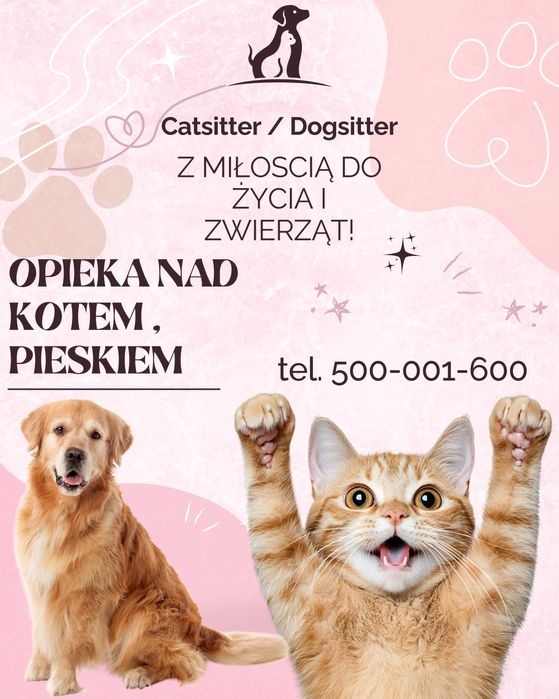 Petsitter Dogsitter Catsitter - Profesjonalna opieka nad Kotem Psem