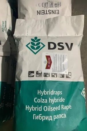 Озимий ріпак Домінатор DSV