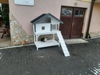 Buda dla dwóch kotów