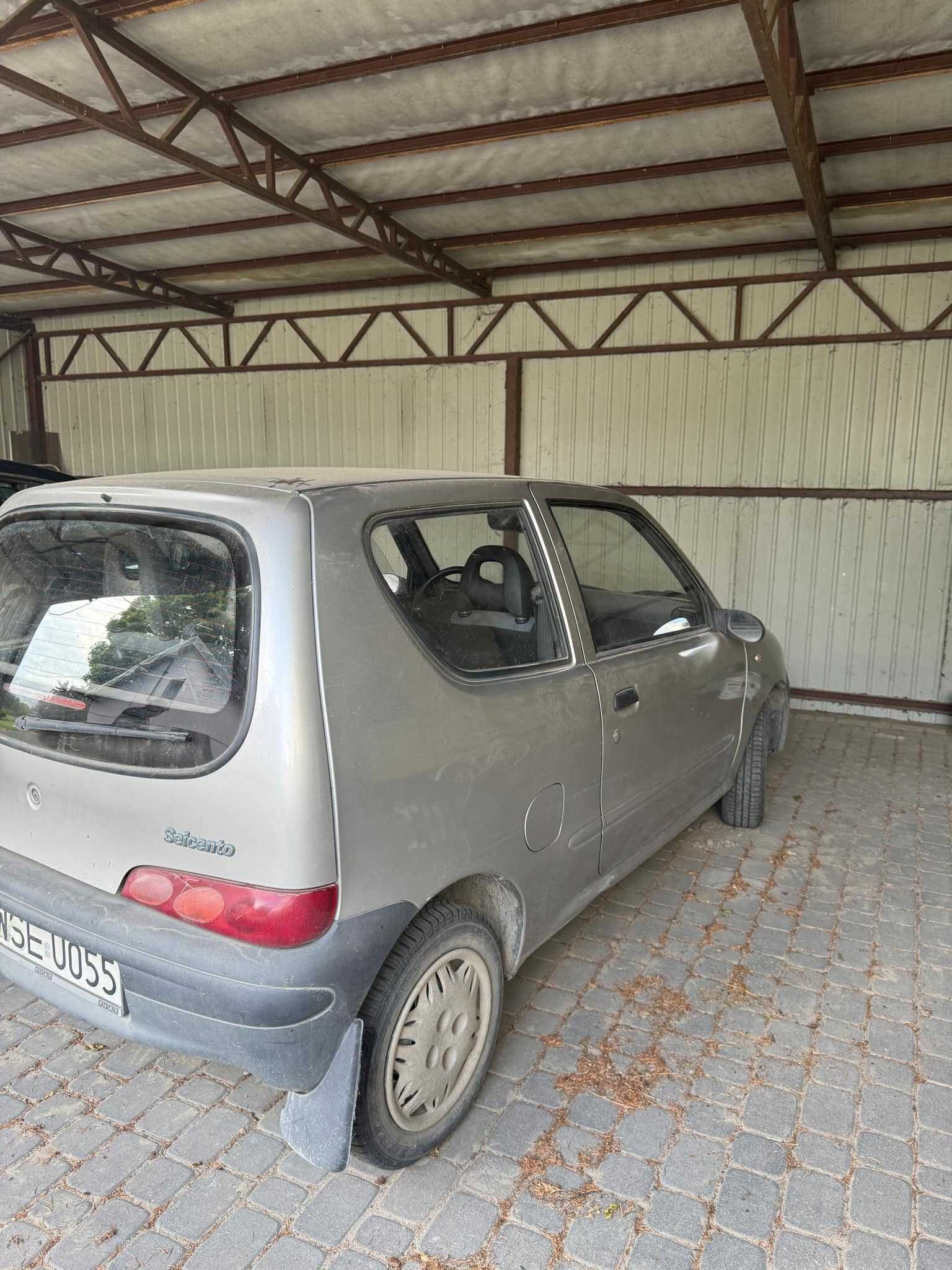 Seicento rocznik 2003