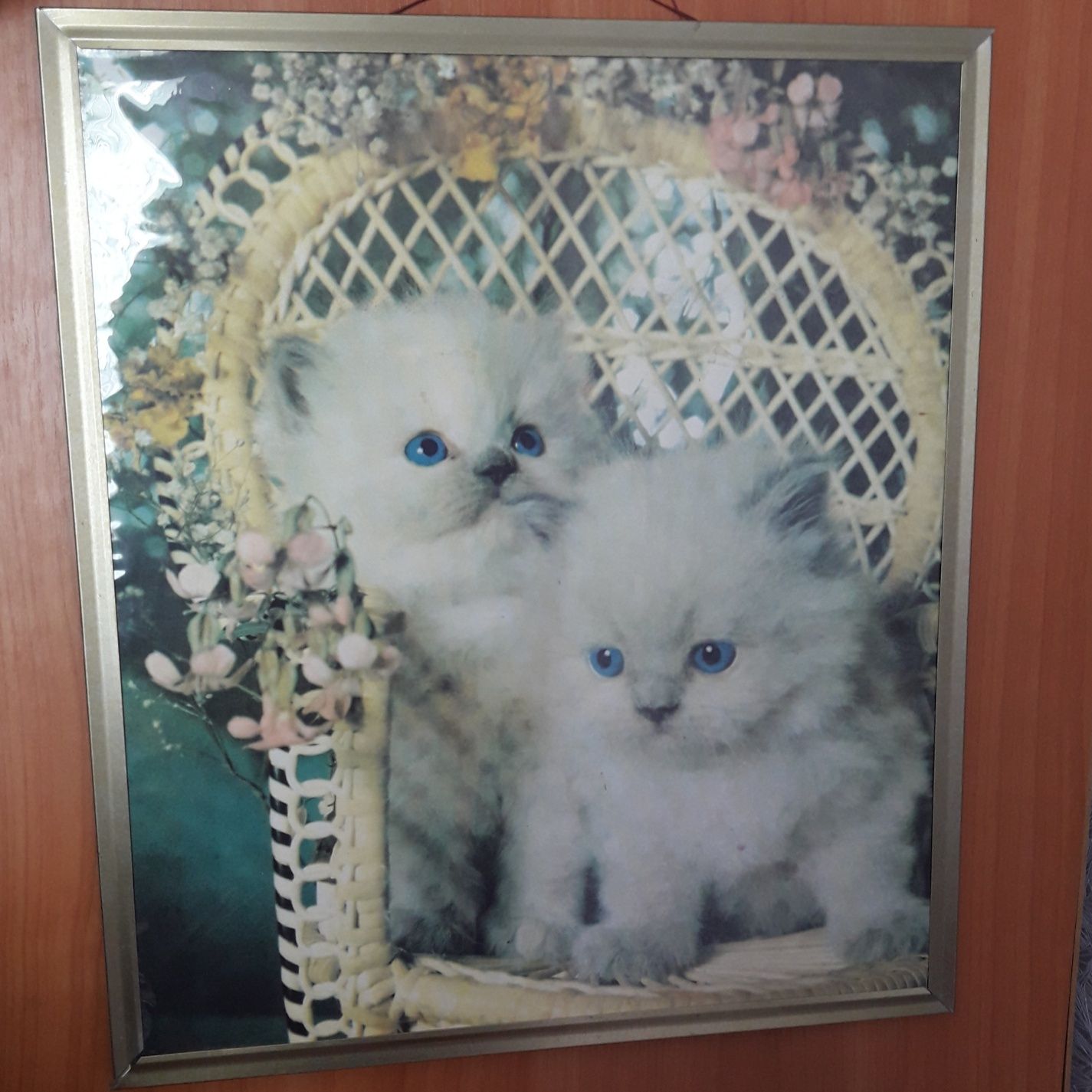 Милая картина "Два котёнка" 43 см x 38 см / на подарок подарунок кіт к