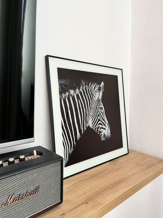 Szklany obraz zebra