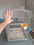 Gaiola para aves
