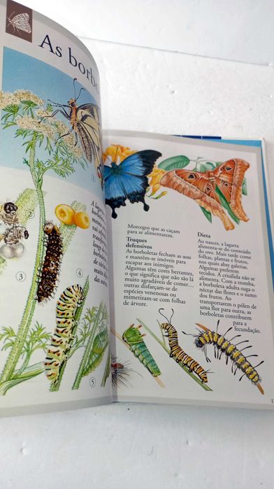 Os Animais - Imagem
