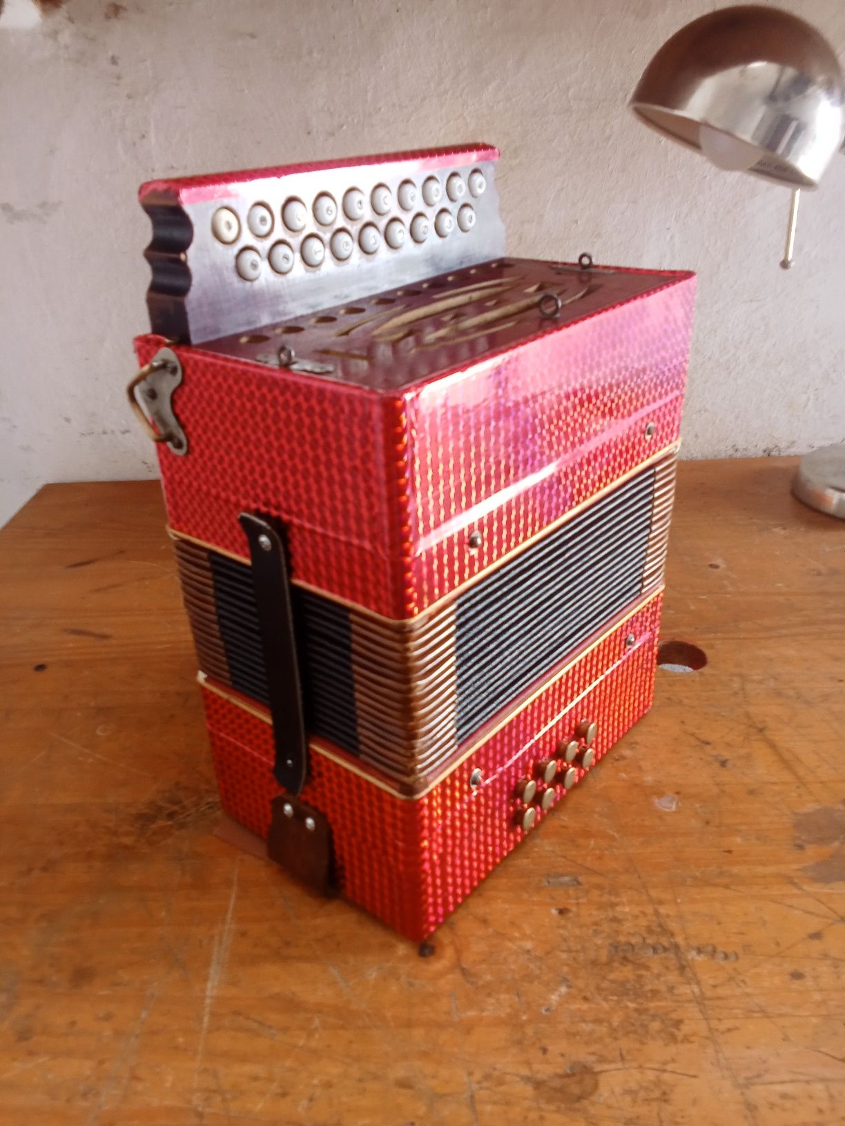 Mini concertina verdadeira