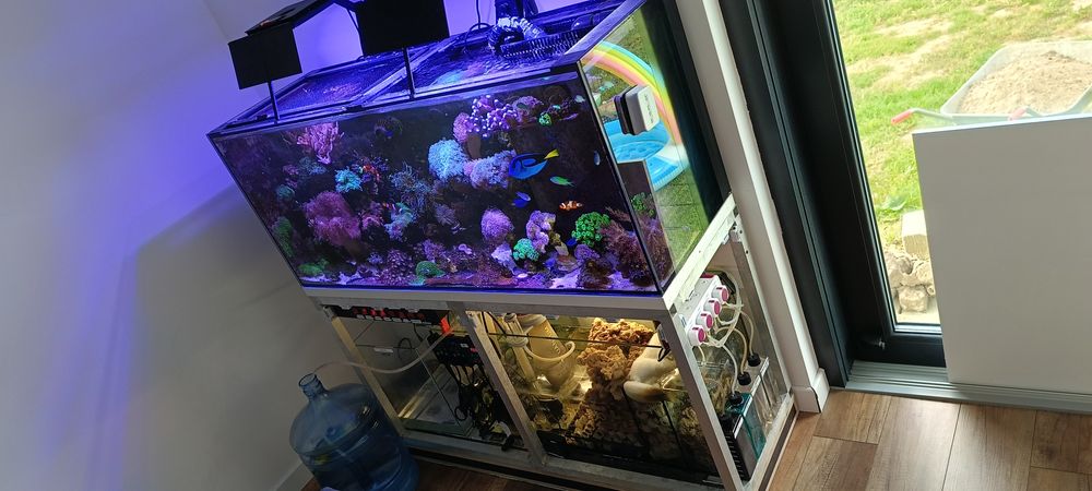 Akwarium morskie 300l