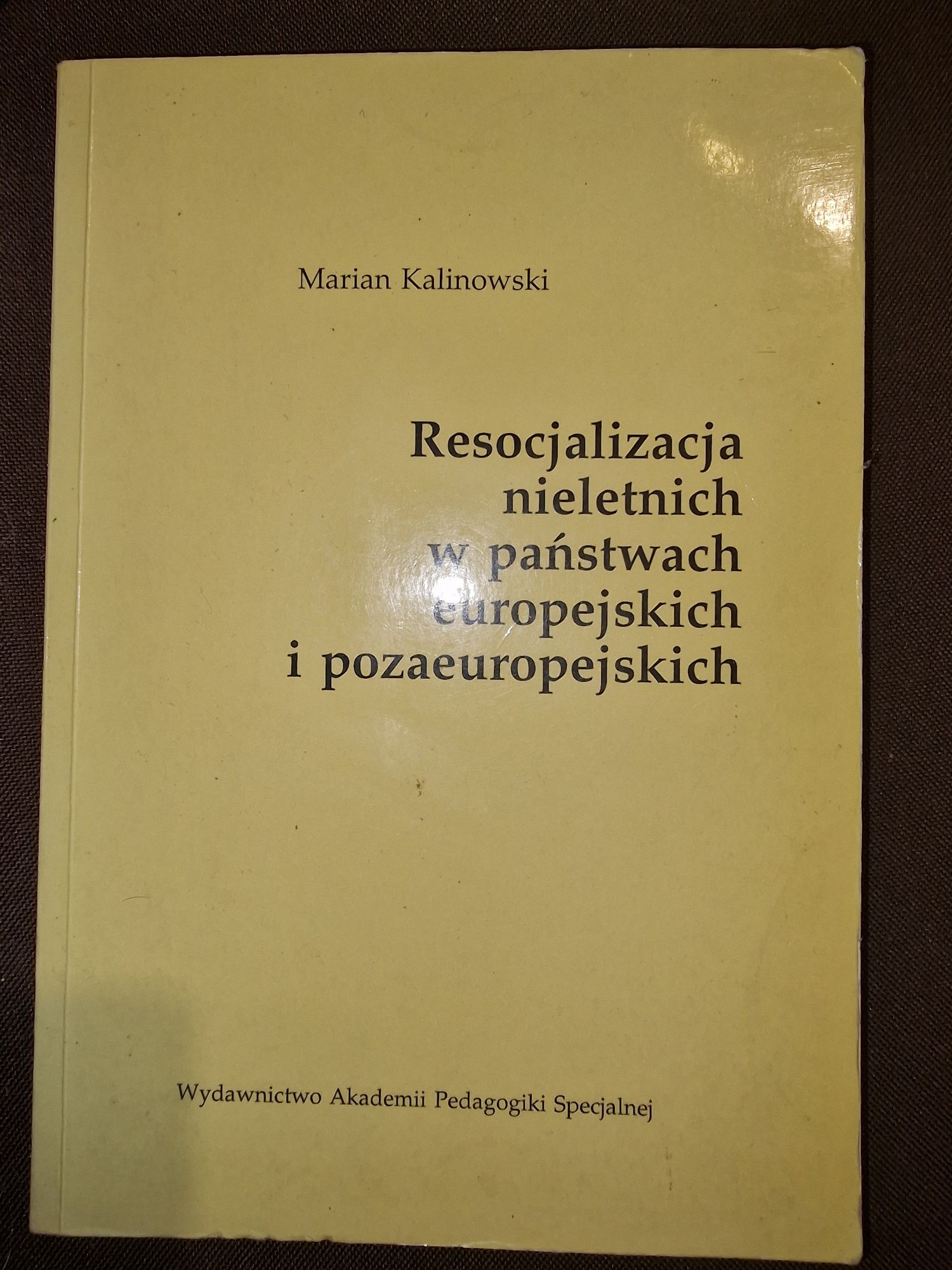 Resocjalizacja nieletnich w państwach europejskich i pozaeuropejskich