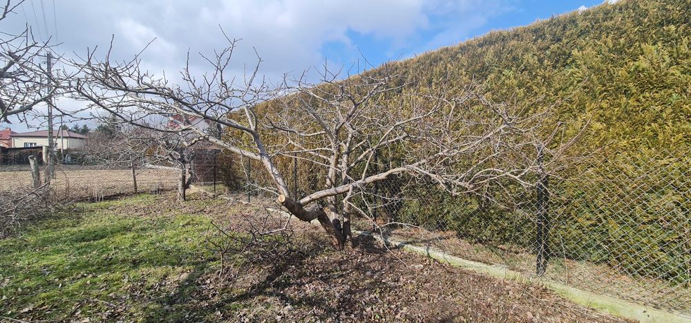 Działka budowlana 1400 m2 – ul. Witosa, Radzyń Podlaski