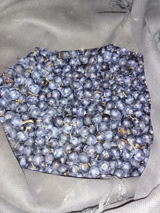 Продам брусницю та ягоди терену.